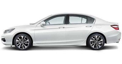 Warna White Orchid Pearl